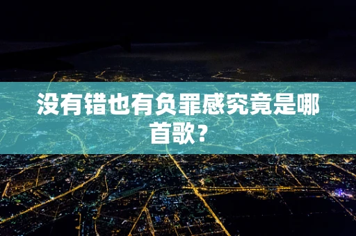 没有错也有负罪感究竟是哪首歌？