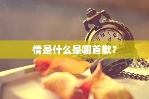 情是什么是哪首歌？