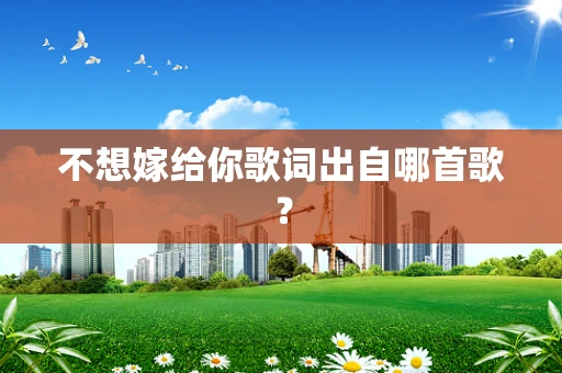 不想嫁给你歌词出自哪首歌？