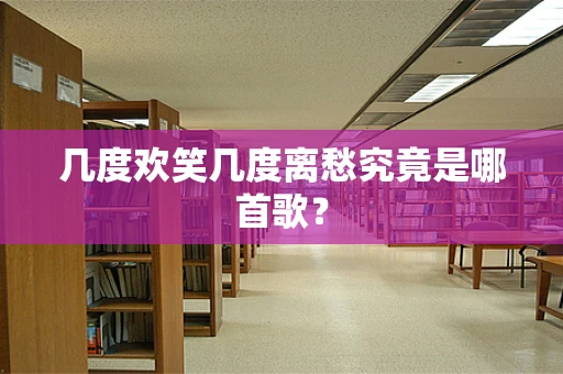 几度欢笑几度离愁究竟是哪首歌？