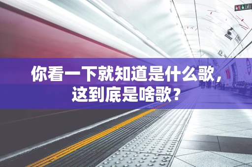 你看一下就知道是什么歌，这到底是啥歌？