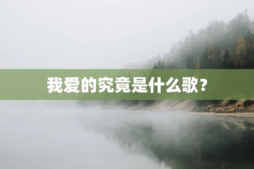 我爱的究竟是什么歌？