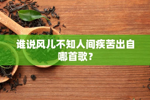 谁说风儿不知人间疾苦出自哪首歌？