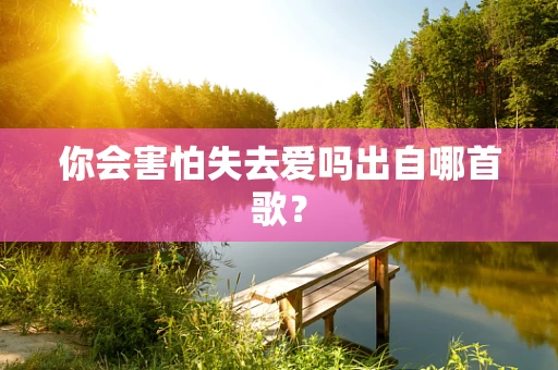 你会害怕失去爱吗出自哪首歌？