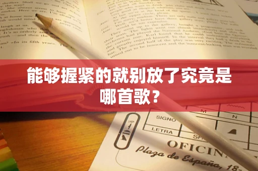 能够握紧的就别放了究竟是哪首歌？