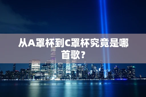 从A罩杯到C罩杯究竟是哪首歌？