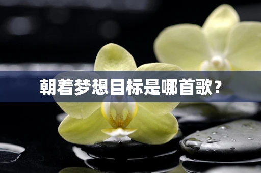 朝着梦想目标是哪首歌？