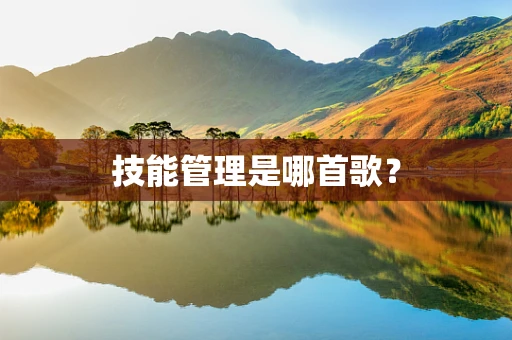 技能管理是哪首歌？