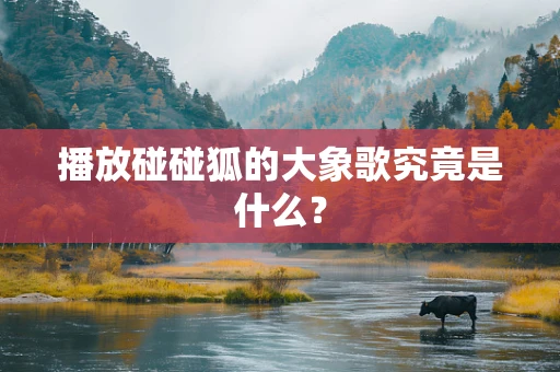 播放碰碰狐的大象歌究竟是什么？