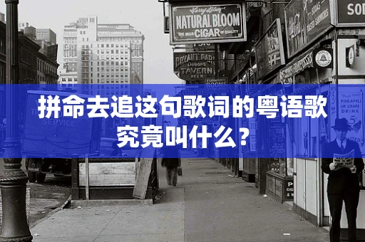 拼命去追这句歌词的粤语歌究竟叫什么？