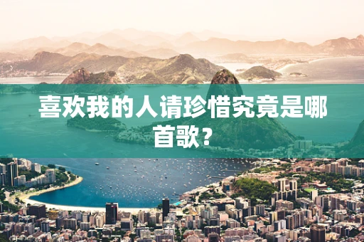喜欢我的人请珍惜究竟是哪首歌？