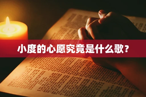 小度的心愿究竟是什么歌？