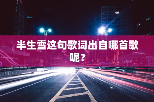半生雪这句歌词出自哪首歌呢？