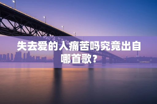 失去爱的人痛苦吗究竟出自哪首歌？