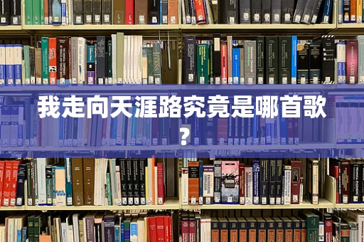 我走向天涯路究竟是哪首歌？