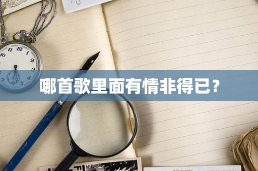 哪首歌里面有情非得已？