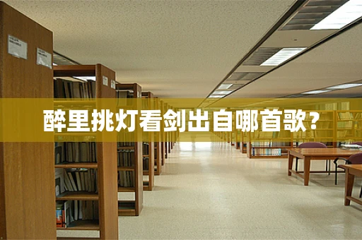 醉里挑灯看剑出自哪首歌？