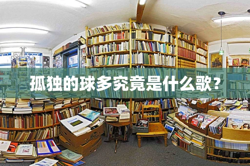 孤独的球多究竟是什么歌？