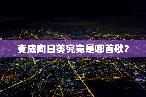 变成向日葵究竟是哪首歌？