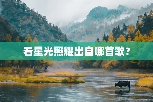 看星光照耀出自哪首歌？