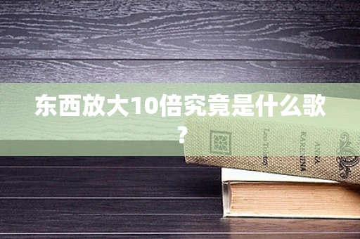 东西放大10倍究竟是什么歌？