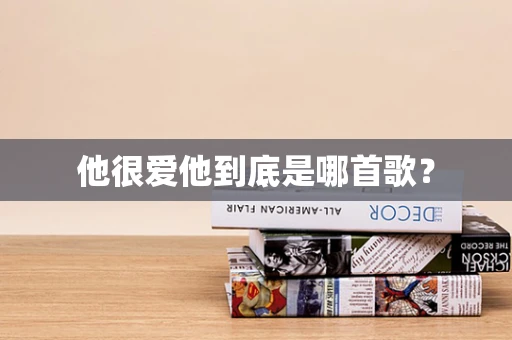 他很爱他到底是哪首歌？
