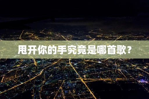 甩开你的手究竟是哪首歌？