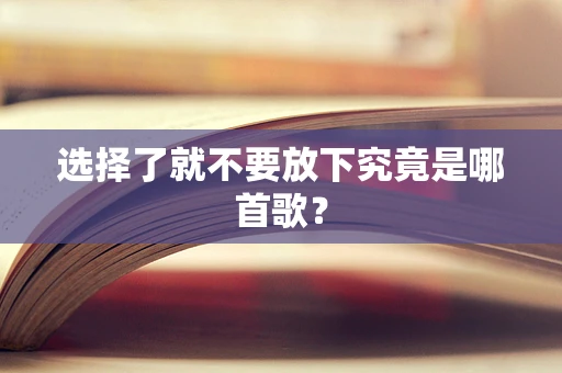 选择了就不要放下究竟是哪首歌？