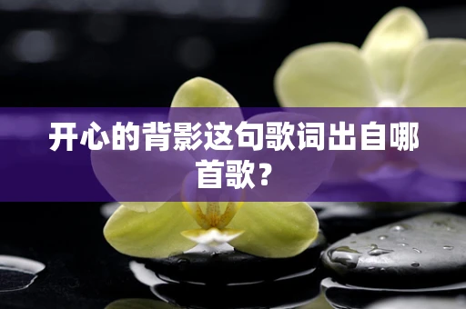 开心的背影这句歌词出自哪首歌？
