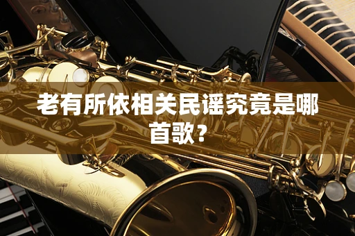 老有所依相关民谣究竟是哪首歌？