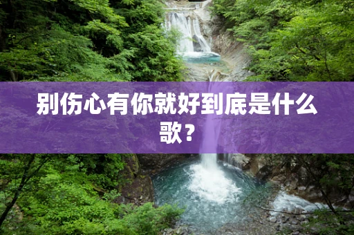 别伤心有你就好到底是什么歌？