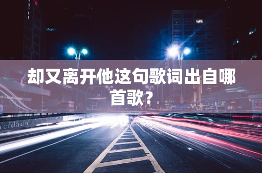 却又离开他这句歌词出自哪首歌？