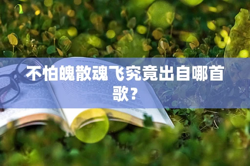 不怕魄散魂飞究竟出自哪首歌？