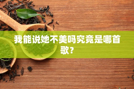 我能说她不美吗究竟是哪首歌？