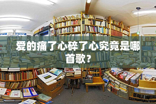 爱的痛了心碎了心究竟是哪首歌？