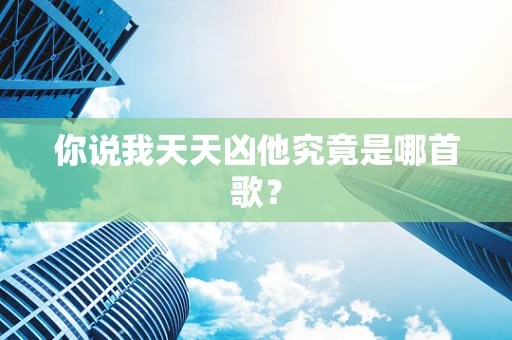 你说我天天凶他究竟是哪首歌？