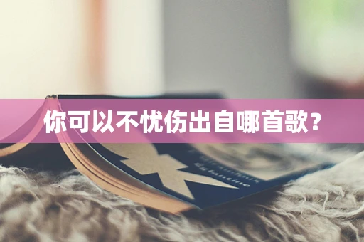 你可以不忧伤出自哪首歌？