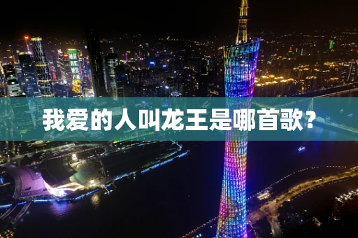 我爱的人叫龙王是哪首歌？