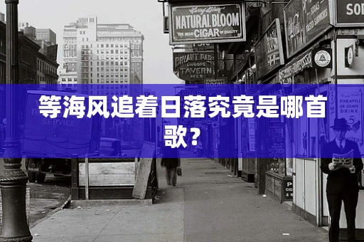 等海风追着日落究竟是哪首歌？