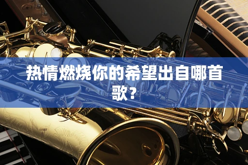 热情燃烧你的希望出自哪首歌？
