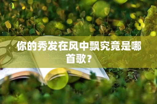 你的秀发在风中飘究竟是哪首歌？