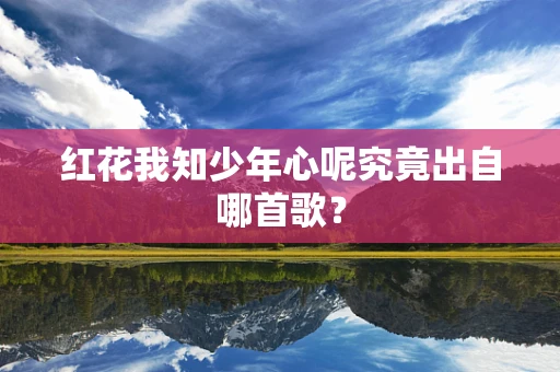 红花我知少年心呢究竟出自哪首歌？