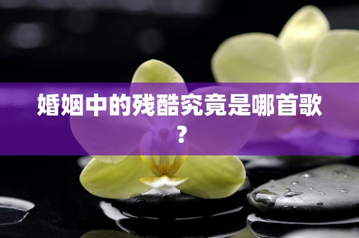 婚姻中的残酷究竟是哪首歌？