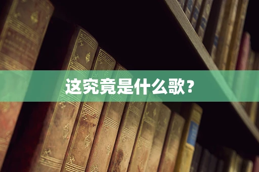 这究竟是什么歌？