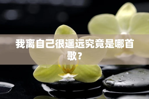 我离自己很遥远究竟是哪首歌？