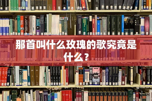 那首叫什么玫瑰的歌究竟是什么？
