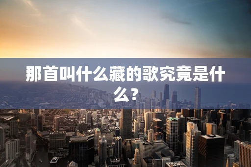 那首叫什么藏的歌究竟是什么？