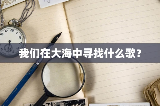 我们在大海中寻找什么歌？