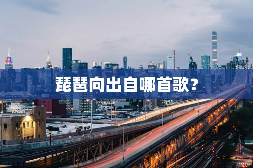琵琶向出自哪首歌？