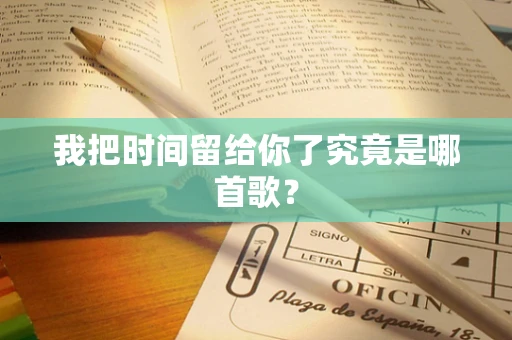 我把时间留给你了究竟是哪首歌？